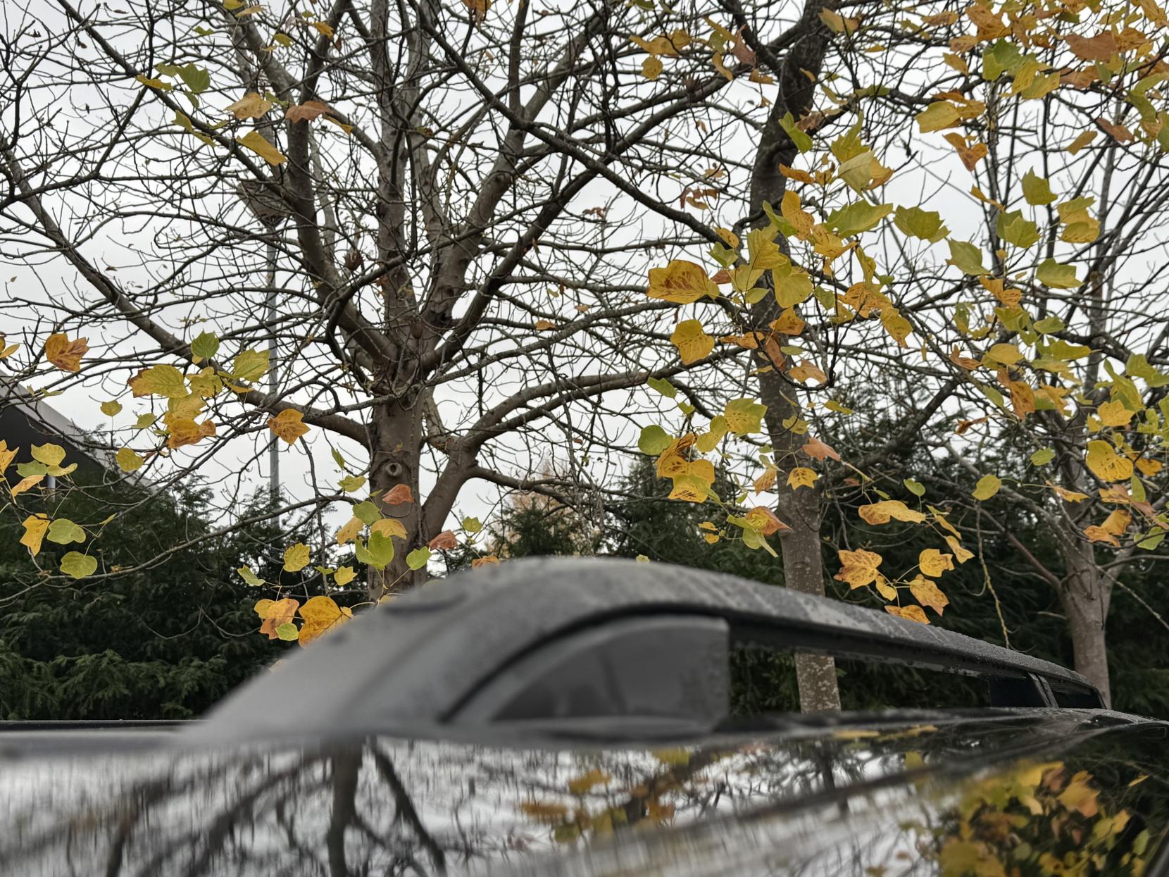 Ford Transit Custom 2.0 300 EcoBlue Limited Crew Van Double Cab 5dr Diesel Auto L1 H1 Euro 6 (s/s) (6 Seat) (170 ps)